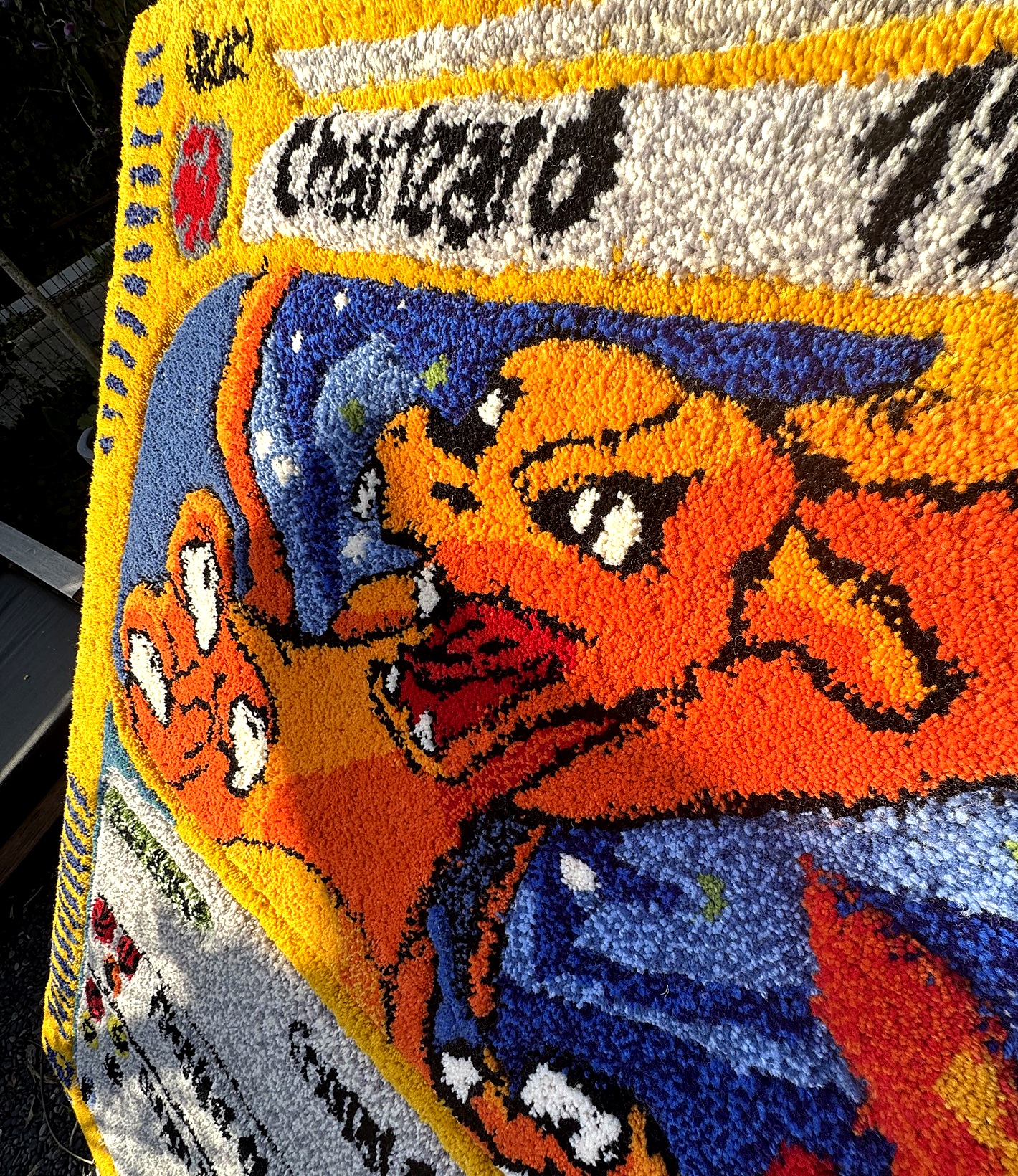 Charizard detail — close-up